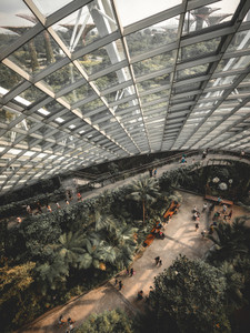 Singapore 11