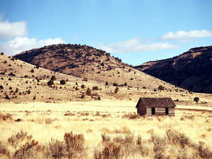 Way Out West