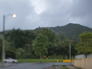... so one morning she packed her tainted heart and ran for the hills (3 of 3)