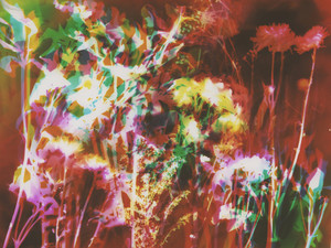 Fire Garden