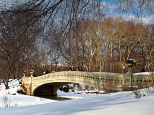 Bow Bridge in Winter