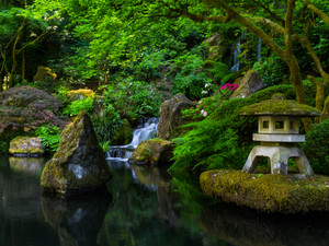 Japanese Garden​