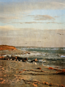 Autumn Shoreline at the River's Mouth