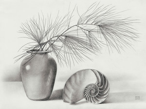 Pine Needles and Nautilus Shell