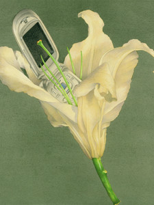 CellFlower