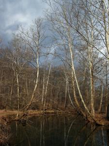 Mirror Water Way​