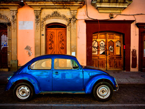 Oaxacan Bug Experiment 2