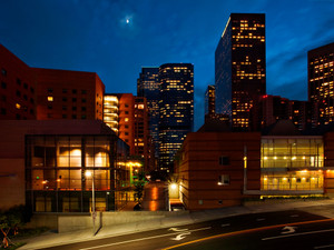 L.A. Nights 2