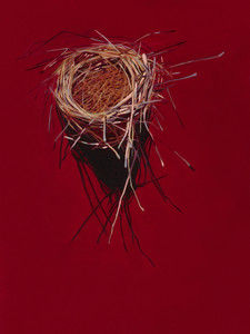Vermillion Nest