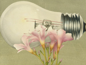 LightFlower