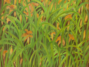 #673. Tiger Lilies Field