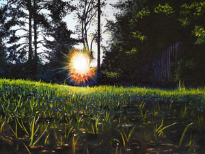 Morning in the backyard