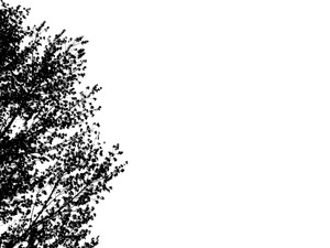 Inkblot 22