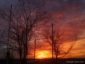 Sky Fire​