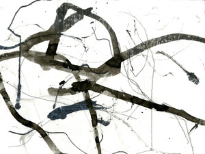 Analytical Abstraction #9
