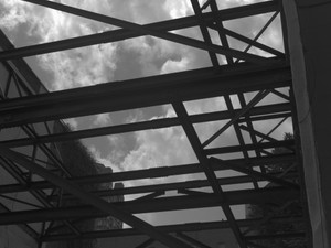 untitled (L1600347)