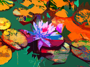 Botanic Lily