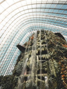 Singapore 6