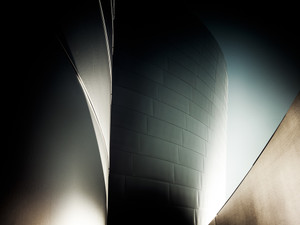 Disney Concert Hall Moonlight #4