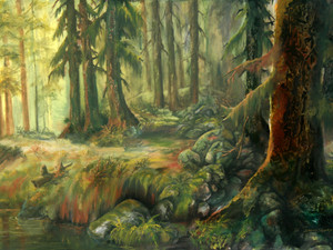 Enchanted Rainforest