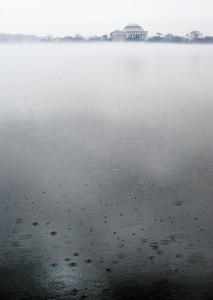 Raindrops at the Tidal Basin