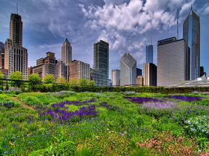 Millennium Park​​