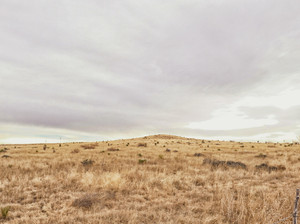 Marfa Walk - Bump