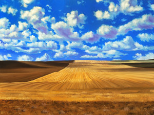 After the Harvest; North Dakota Wheat Field​