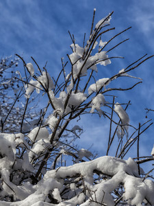A Very Cold Day​