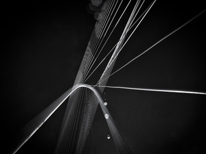 Calatrava Harp- Dallas