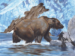 Brown Bear
