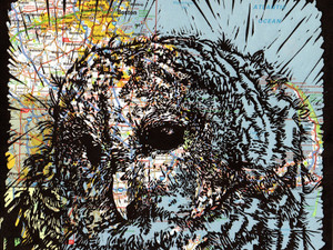 Boston Odie