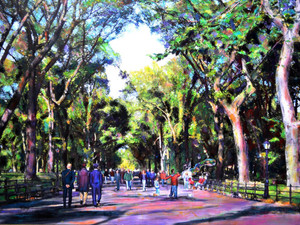 Central Park​​