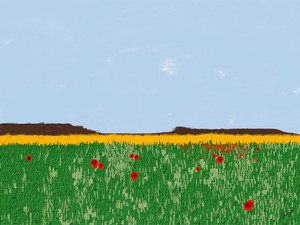Field of Poppies​​​​​​