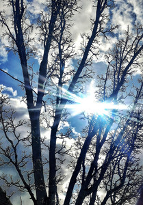 Hope for Spring