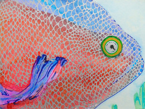Pink & Blue Fish
