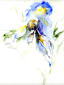 Blue Flower​