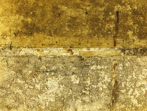 Venice Muro