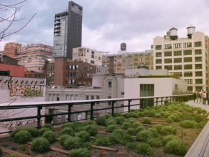 A Walk Down The High Line