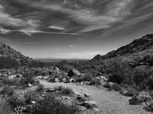 Arizona Desert​​