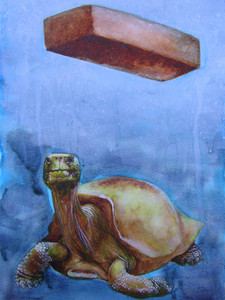 Tortoise​