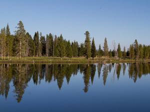 Reflections​​​​​​​​​​