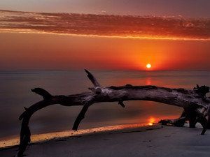 Folley Island Beach Sunrise