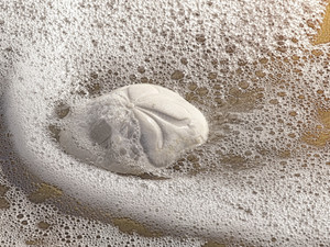 Sand Dollar in the Surf