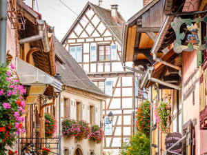 French Façades and Flowers
