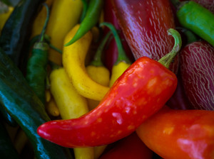 Peppers XII