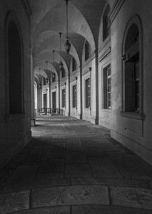 In the Shadows​