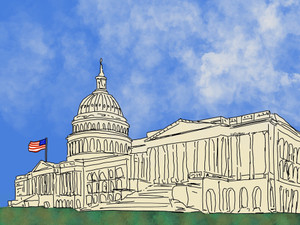 U.S. Capitol Building