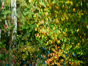 Afternoon on a Hill 102