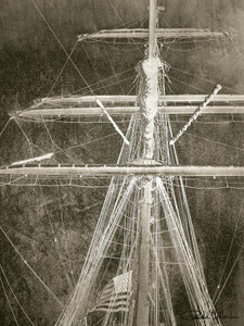 Eagle 1